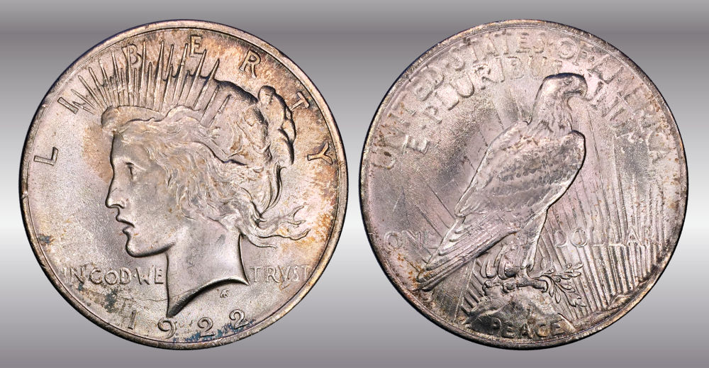My-Raw-Peace-Dollar-Collection.-.-.-.-Warning!